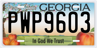 GA license plate PWP9603