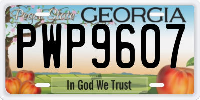 GA license plate PWP9607