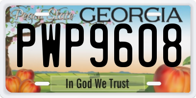 GA license plate PWP9608