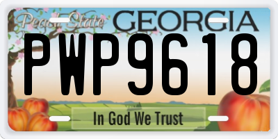 GA license plate PWP9618
