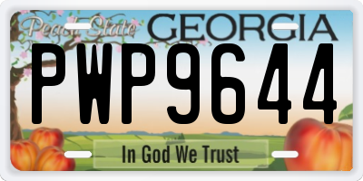 GA license plate PWP9644
