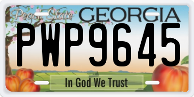 GA license plate PWP9645