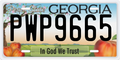 GA license plate PWP9665