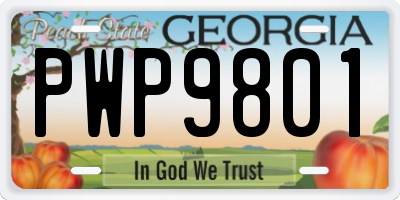 GA license plate PWP9801