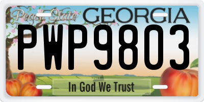 GA license plate PWP9803