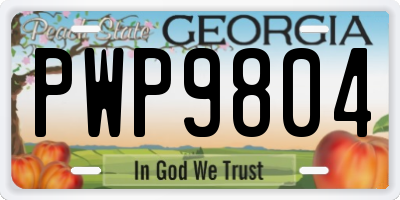 GA license plate PWP9804