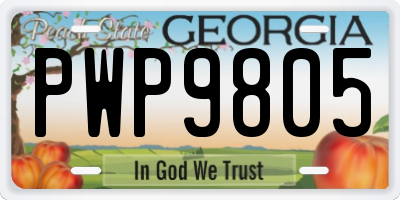 GA license plate PWP9805