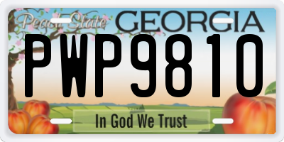 GA license plate PWP9810