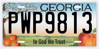 GA license plate PWP9813