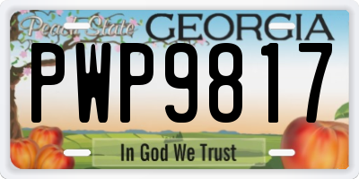 GA license plate PWP9817