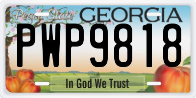 GA license plate PWP9818