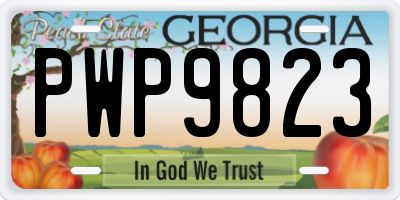 GA license plate PWP9823