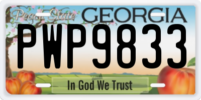 GA license plate PWP9833