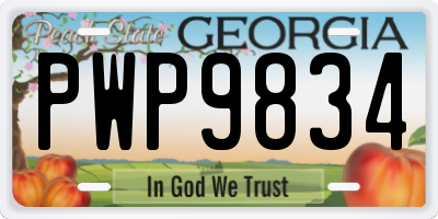 GA license plate PWP9834