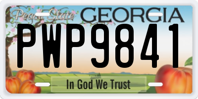 GA license plate PWP9841