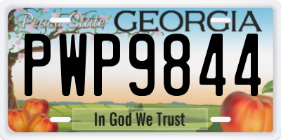 GA license plate PWP9844
