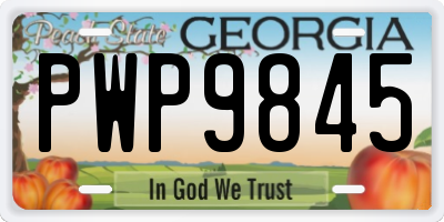 GA license plate PWP9845