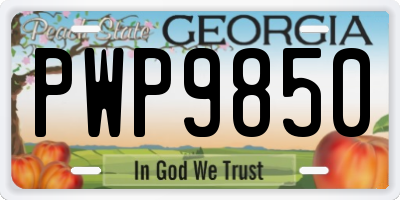 GA license plate PWP9850