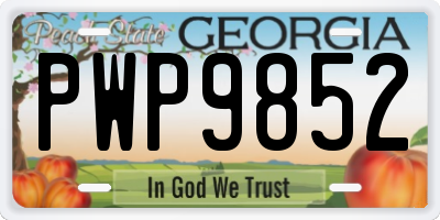 GA license plate PWP9852