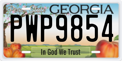 GA license plate PWP9854