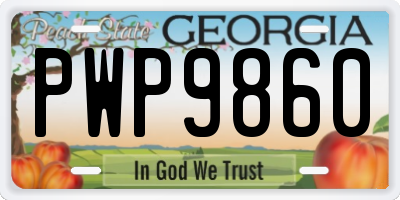 GA license plate PWP9860