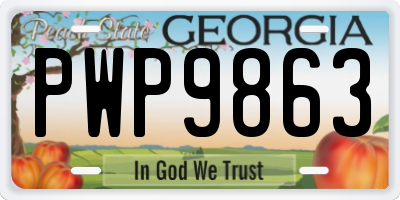 GA license plate PWP9863