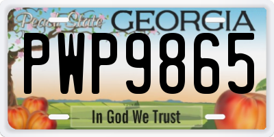 GA license plate PWP9865