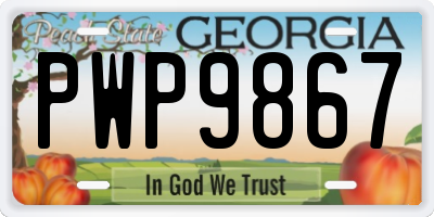 GA license plate PWP9867