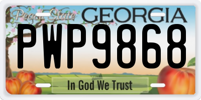 GA license plate PWP9868