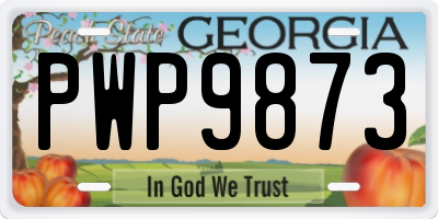 GA license plate PWP9873