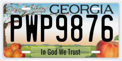 GA license plate PWP9876