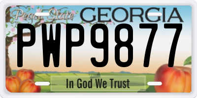 GA license plate PWP9877
