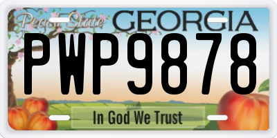 GA license plate PWP9878