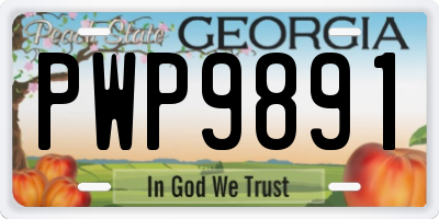 GA license plate PWP9891