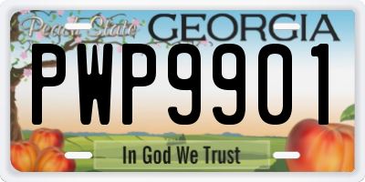 GA license plate PWP9901
