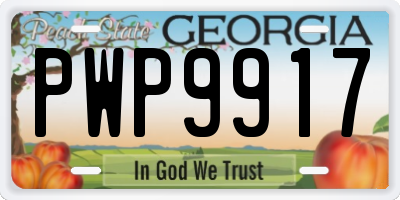 GA license plate PWP9917