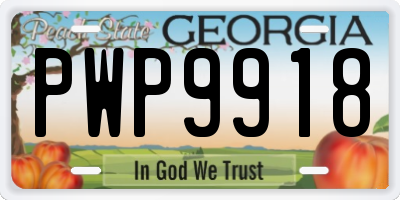 GA license plate PWP9918
