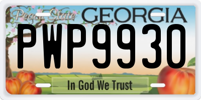 GA license plate PWP9930