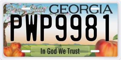 GA license plate PWP9981