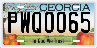 GA license plate PWQ0065
