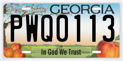 GA license plate PWQ0113