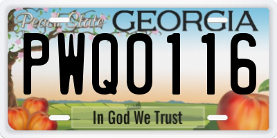 GA license plate PWQ0116