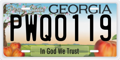 GA license plate PWQ0119
