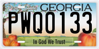 GA license plate PWQ0133