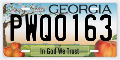 GA license plate PWQ0163