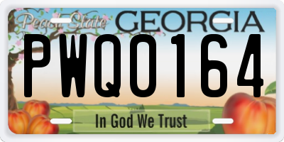 GA license plate PWQ0164