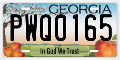 GA license plate PWQ0165
