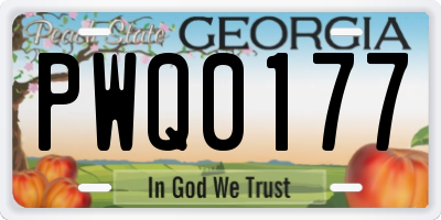 GA license plate PWQ0177
