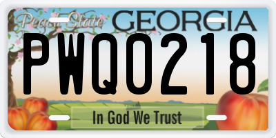 GA license plate PWQ0218