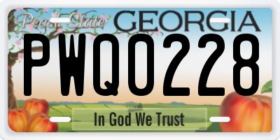 GA license plate PWQ0228